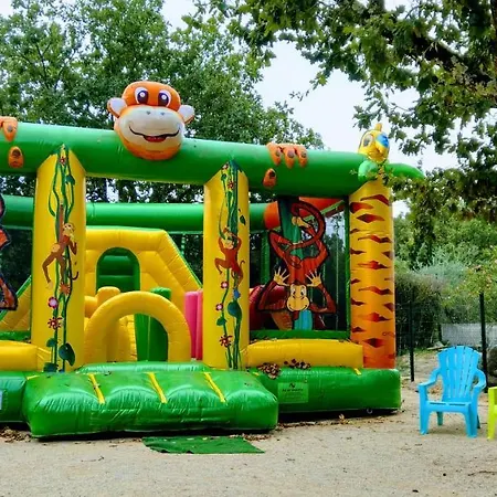 Campsite Camping La Buissiere 3*
