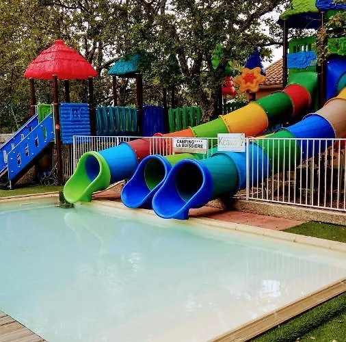 Кемпинг Camping La Buissiere 3*