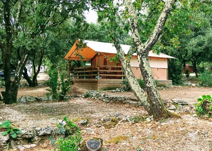 Camping La Buissiere 3*