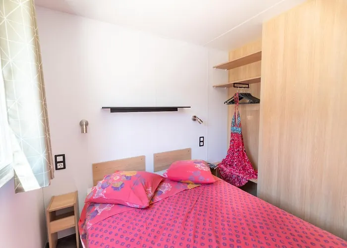 Camping La Buissiere Кемпинг 3*