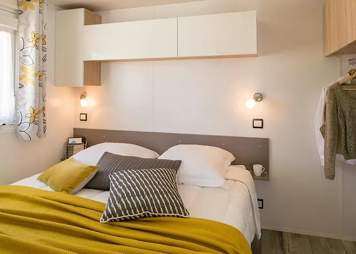 Camping La Buissiere 3*
